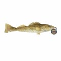 Steel Dog Walleye with Rope ST307836